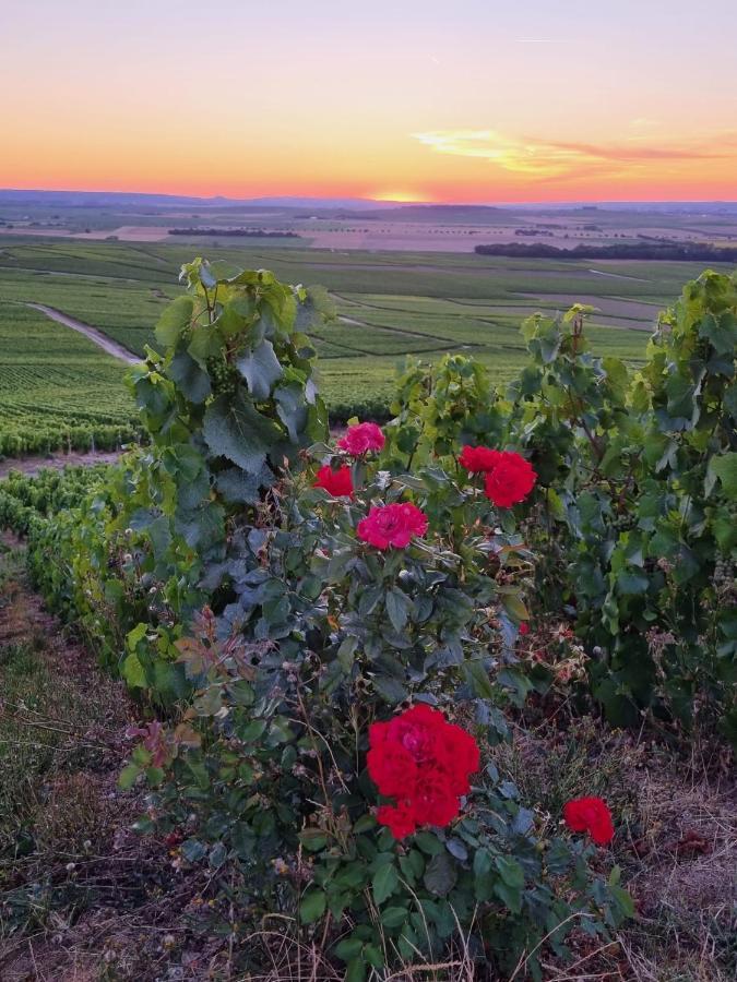 Appartamento L’Effervescent Reims Esterno foto